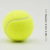 40baae3121621a6fde6ba4cd16477480 Portable Small Durable Tennis Ball for Training